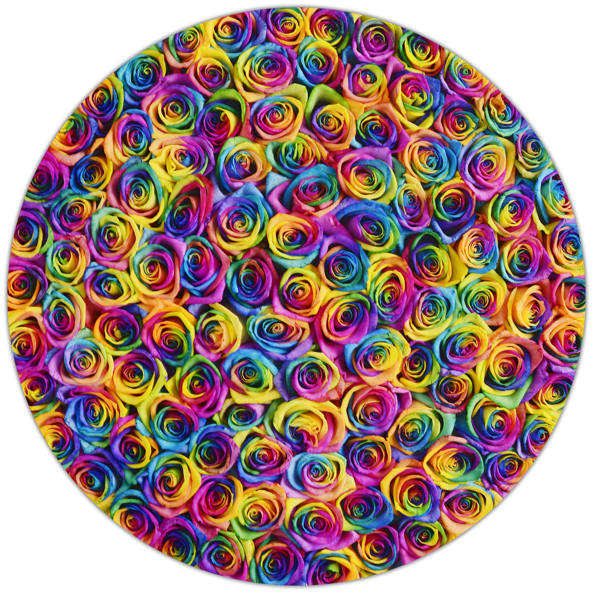 The Million - Rainbow Roses - Black box - The Million Roses Budapest