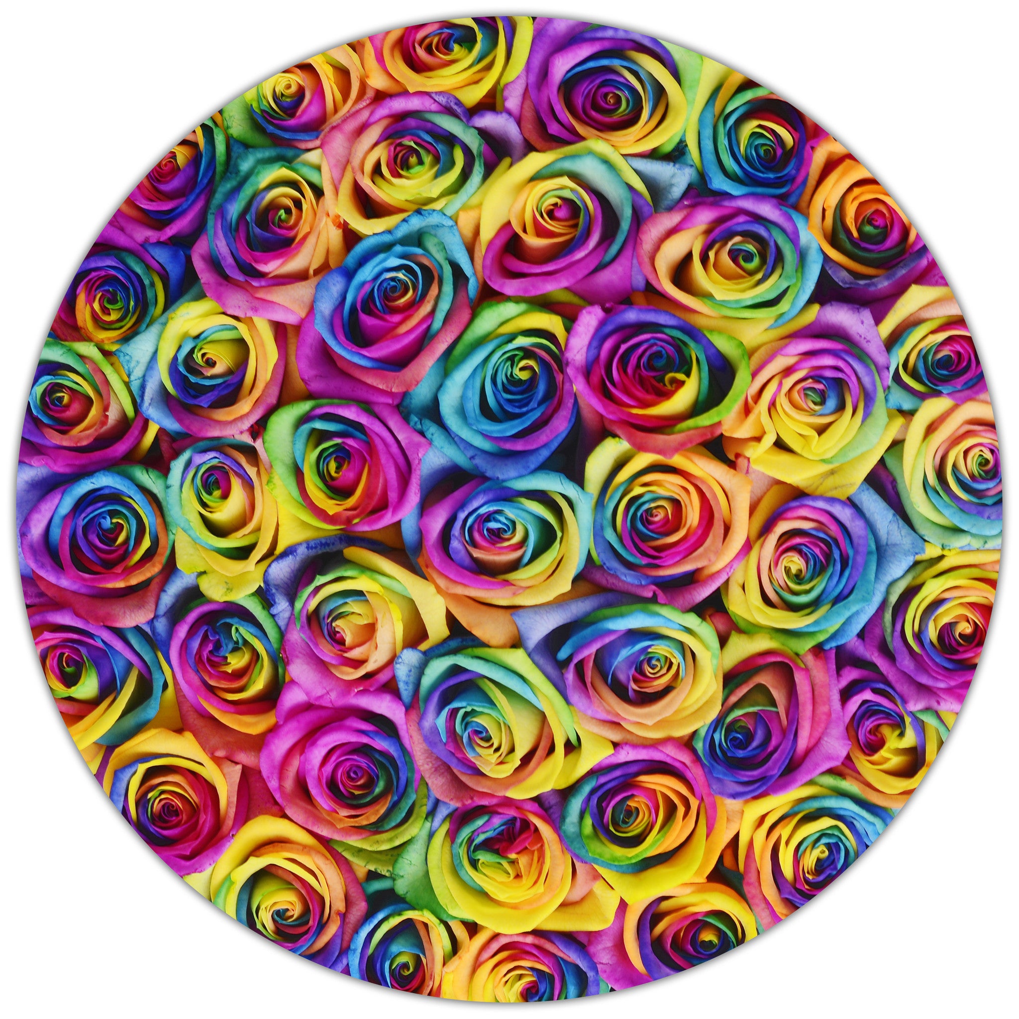 Small - Rainbow Roses - White Box - The Million Roses Budapest