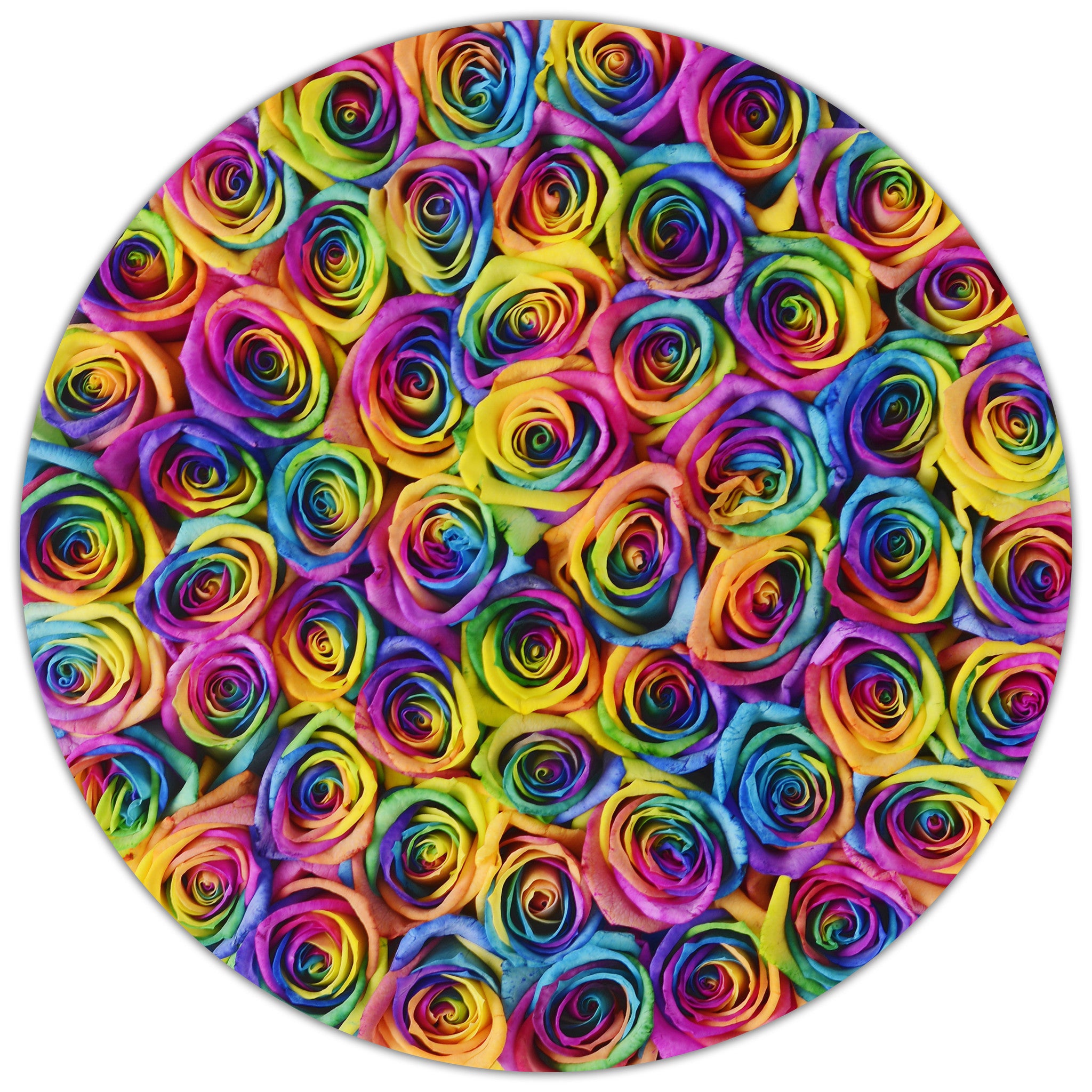 Medium - Rainbow Roses - Black Box - The Million Roses Budapest