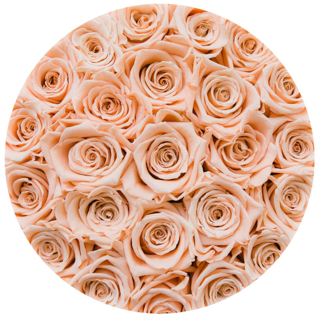 Aranjament floral cu trandafiri somon în cutie mică