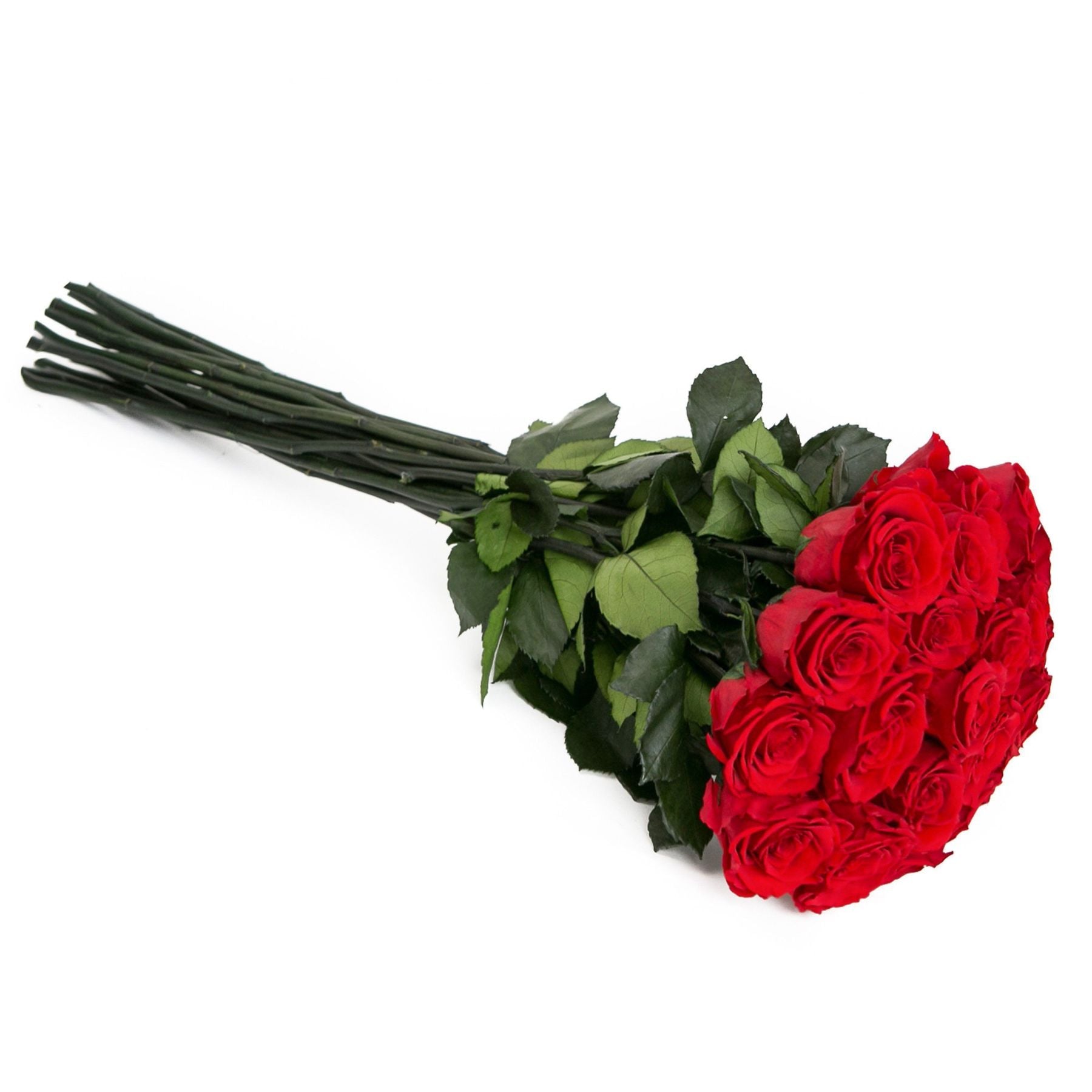 Buchet de trandafiri criogenati rosii -Eternity love