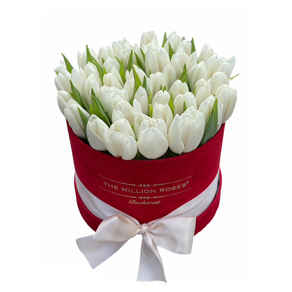 Buchet de lalele albe in cutie de catifea