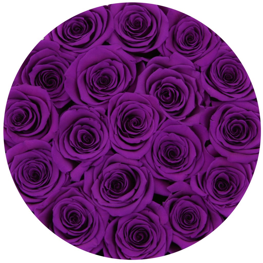 TRANDAFIRI CRIOGENAȚI VIOLEȚI ÎN CUTIE MICĂ NEAGRĂ