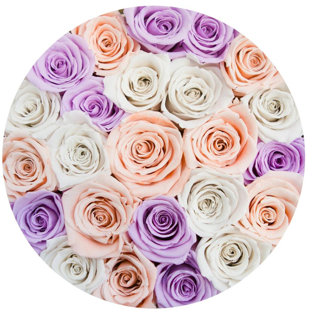 TRANDAFIRI CRIOGENAȚI PRINCESS SELECTION ÎN CUTIE VANILLA CREM MICĂ