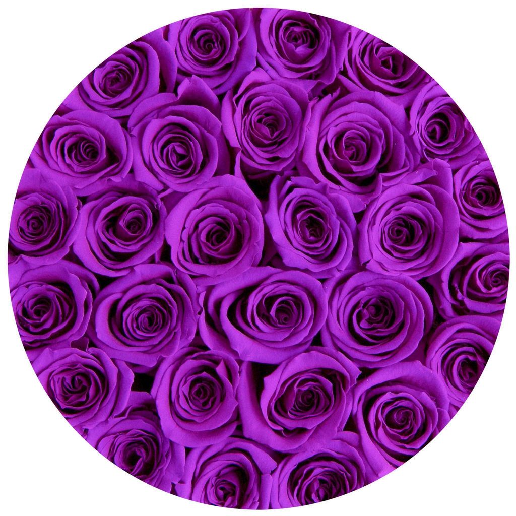 TRANDAFIRI CRIOGENAȚI VIOLEȚI ÎN CUTIE VANILLA CREM MICĂ