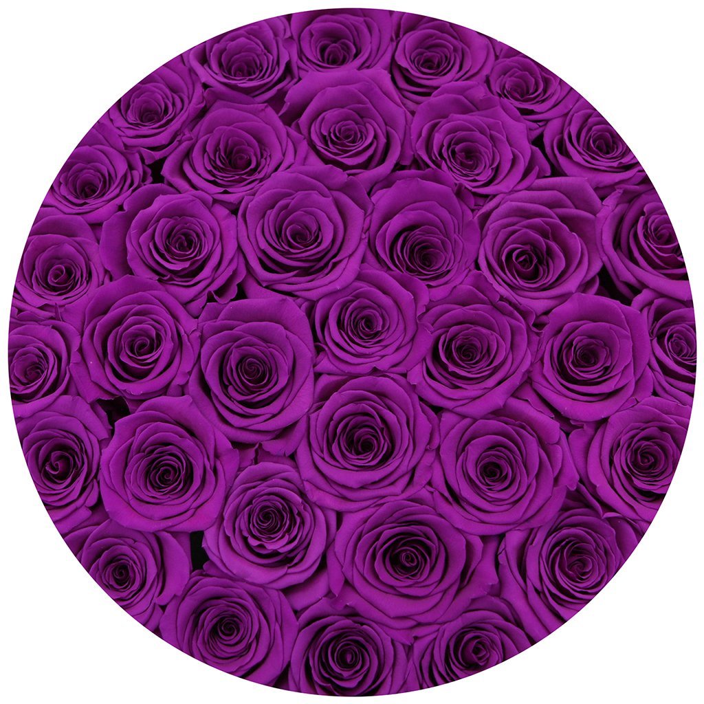Aranjament de trandafiri criogenați Deep Purple in cutie medie "Flamingo"